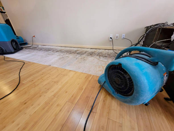 Professional Sewage Cleanup technician working in Okeechobee, FL